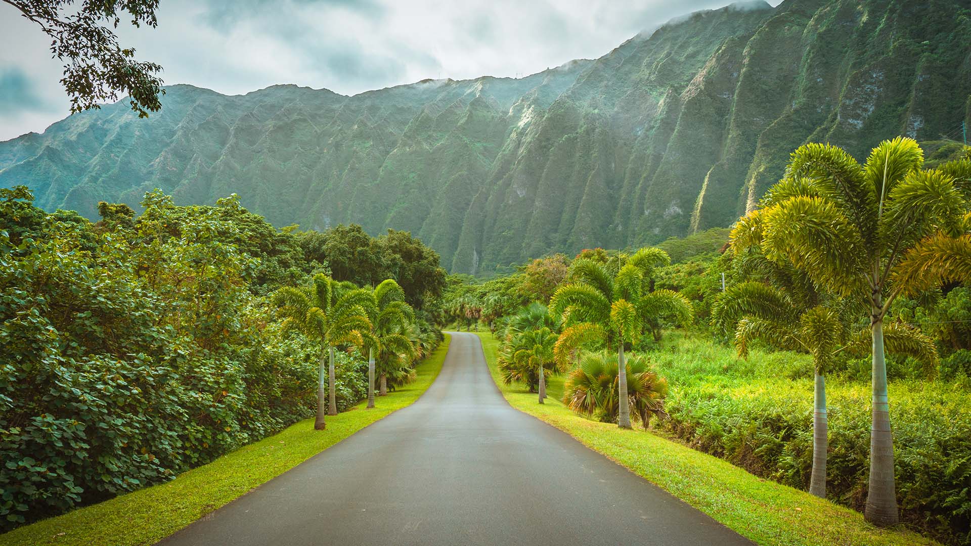 Det er oplagt at besøge flere af øerne, når du rejser til Hawaii